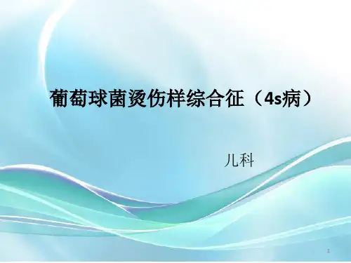 葡萄球菌烫伤样综合征PPT课件