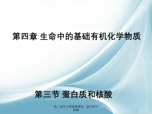 高二化学人教选修课件:蛋白质与核酸