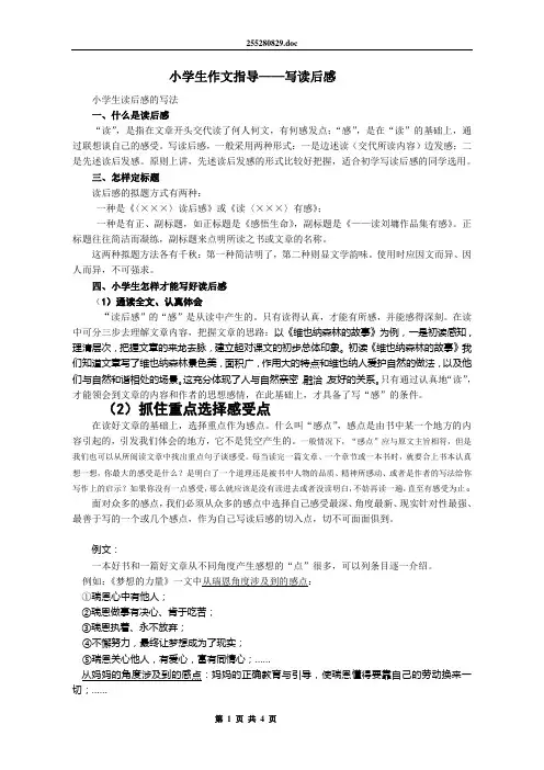 小学生作文指导─写读后感