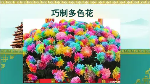 巧制多色花课件