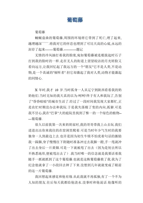 中学生满分作文：葡萄藤