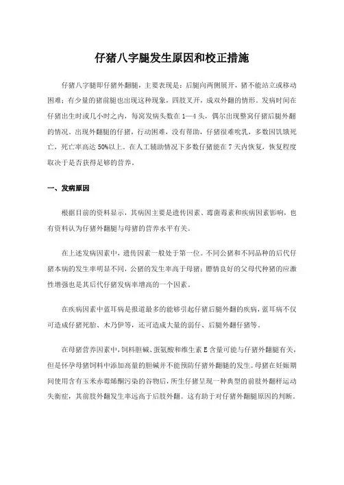 仔猪八字腿发生原因和校正措施