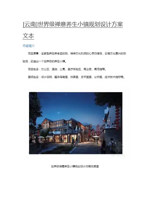 [云南]世界级禅意养生小镇规划设计方案文本