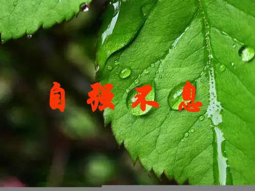61直面挫折PPT课件