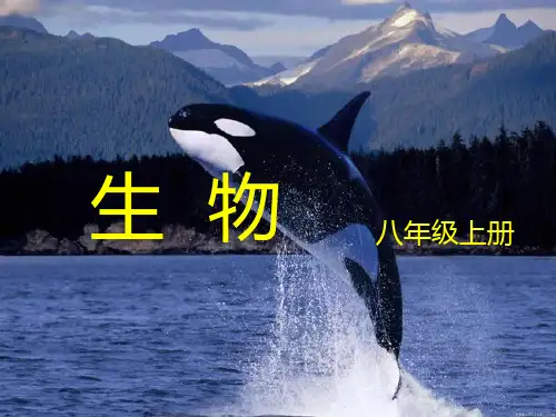 霉菌和蘑菇都是真菌