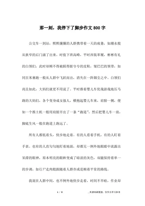 那一刻,我停下了脚步作文800字