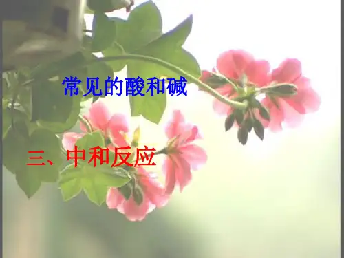 沪教版初中化学九下 7.2.3  常见的酸和碱中和反应  课件PPT