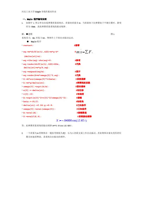 Maple 大作业