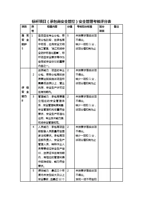 5标杆项目  评分表