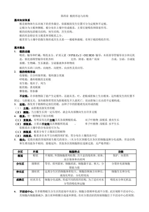 第四章 根的形态与结构