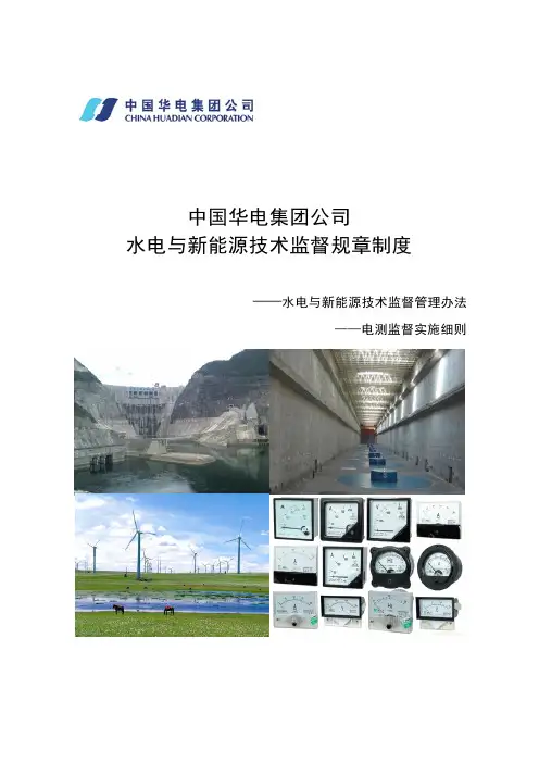 中国华电集团公司水电新能源发电企业技术监督实施细则(电测)