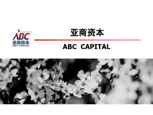 亚商资本简介