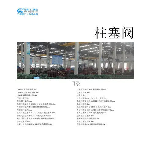 柱塞阀