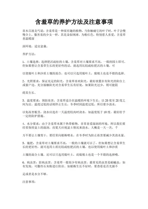 含羞草的养护方法及注意事项