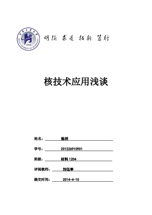 核技术应用浅谈