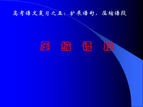 高考复习压缩语段