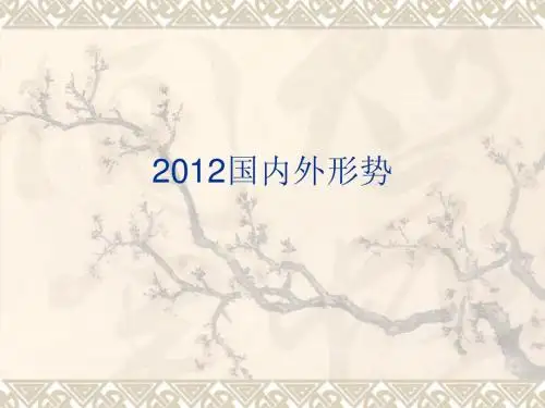 2012国内外形势