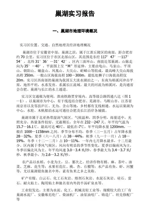巢湖地质实习报告