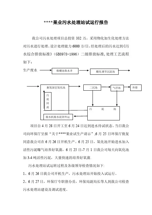 污水处理站运行报告