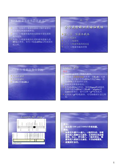 第一章1-6噬菌体载体2