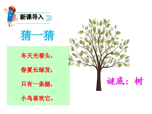 二年级语文树之歌课件