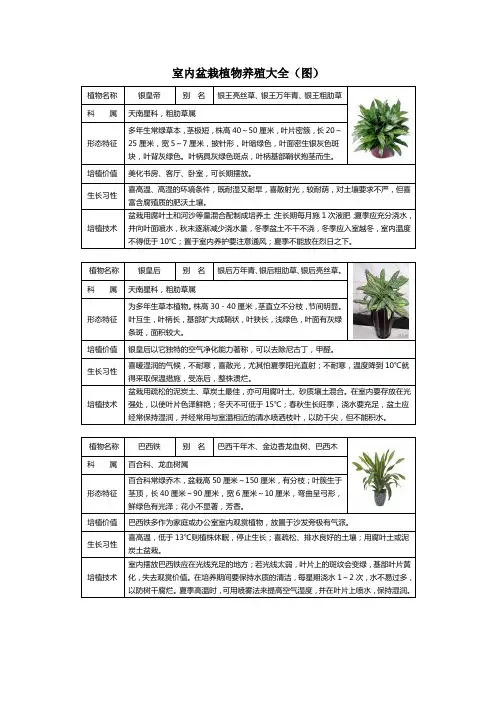 室内盆栽植物养殖大全