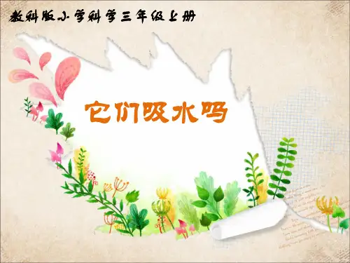 教科版小学科学《它们吸水吗》
