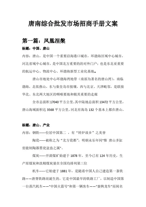 唐南综合批发市场招商手册文案