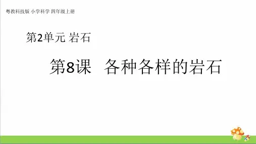 2020粤教版四年级上册科学2.8《各种各样的岩石》教学优质课件