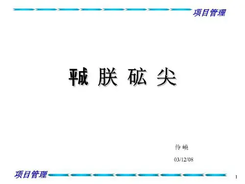项目管理培训教材72529