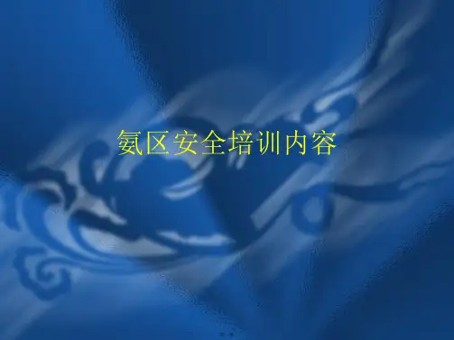 氨区安全培训内容