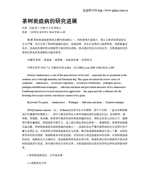 茶树炭疽病的研究进展
