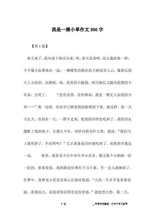 我是一棵小草作文300字