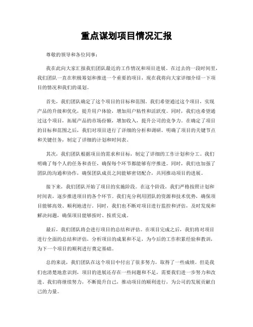 重点谋划项目情况汇报