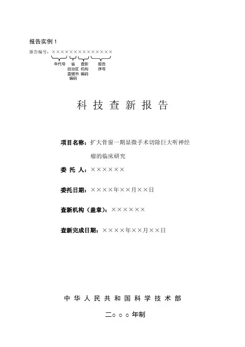 查新报告实例