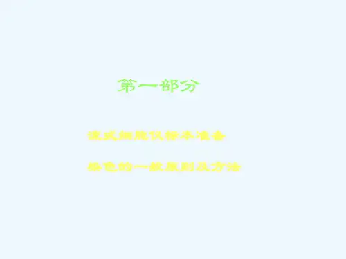 流式细胞仪简介和使用方法