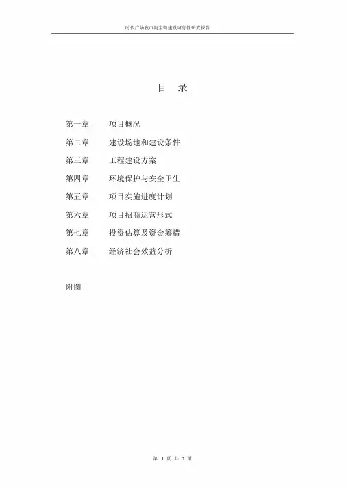 时代广场夜市淘宝街建设可行性研究报告