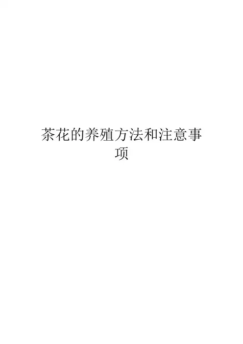 茶花的养殖方法和注意事项
