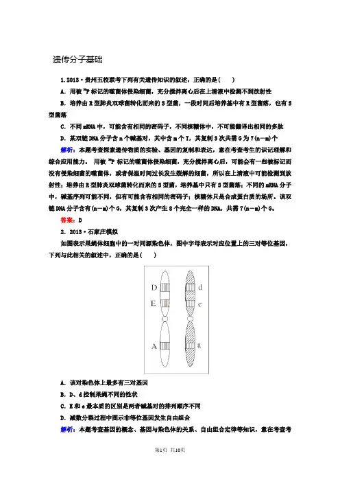 备考2014生物经典题专练：遗传分子基础(1)