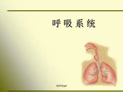 人体解剖学呼吸系统PPT课件