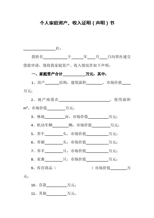 个人家庭资产、收入证明书