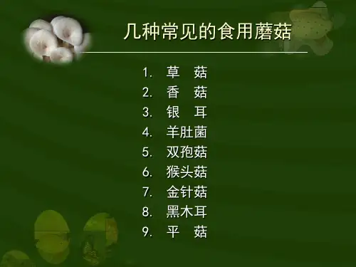 几种常见的食用蘑菇