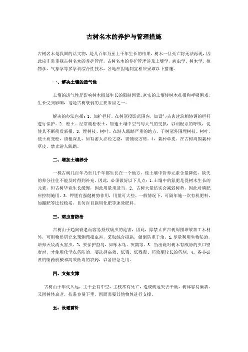 古树名木的养护与管理措施