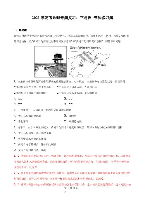 2021年高考地理专题复习：三角洲 专项练习题(含答案解析)
