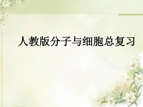 人教版分子与细胞高中生物必修一复习课件