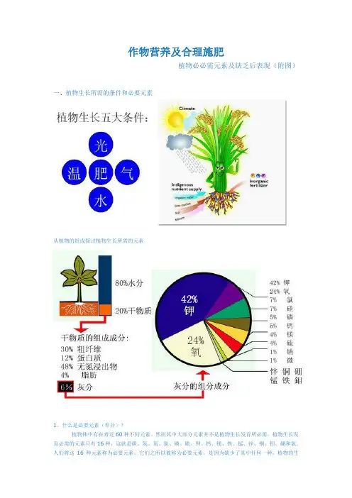 作物营养及合理施肥植物必必需元素及缺乏后表现(附图)