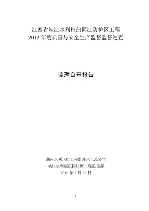 监理自查报告