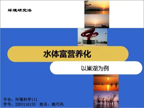 巢湖富营养化