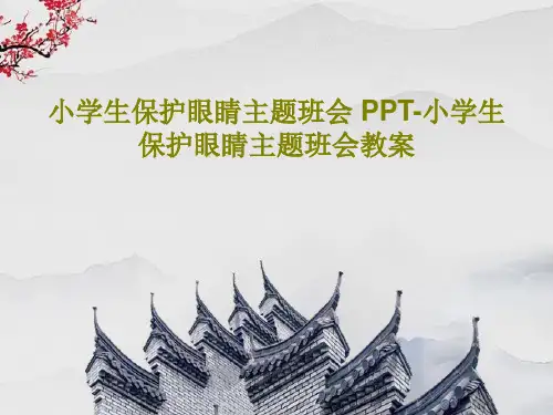 小学生保护眼睛主题班会 PPT-小学生保护眼睛主题班会教案38页PPT