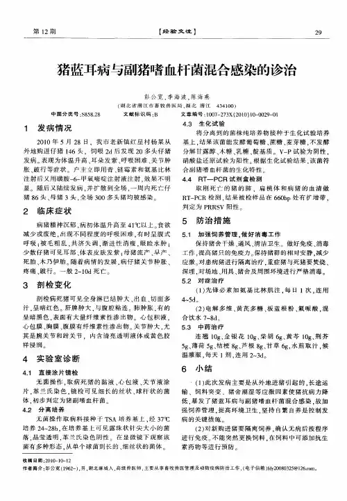 猪蓝耳病与副猪嗜血杆菌混合感染的诊治